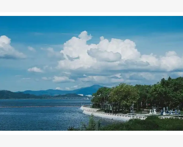 注册会计师英语要求真相大揭秘